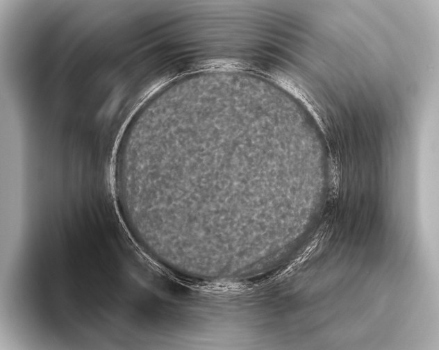 X0000093481090200711020929