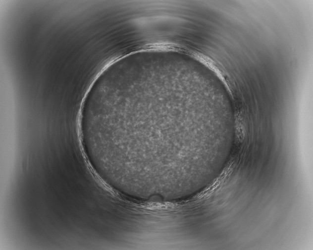 X0000093481091200711020929