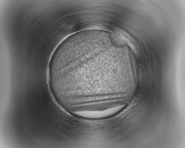 X0000093481092200711020929