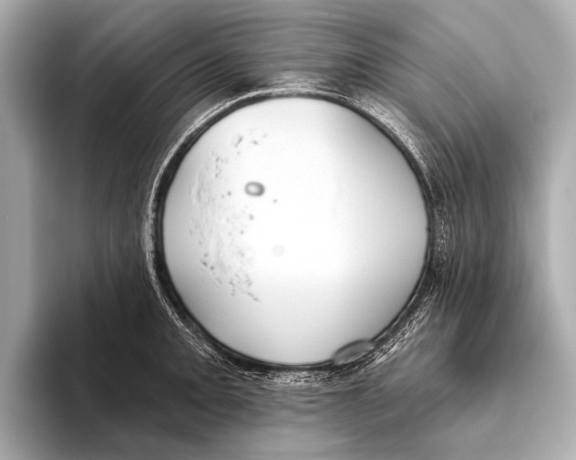 X0000093481093200711020929