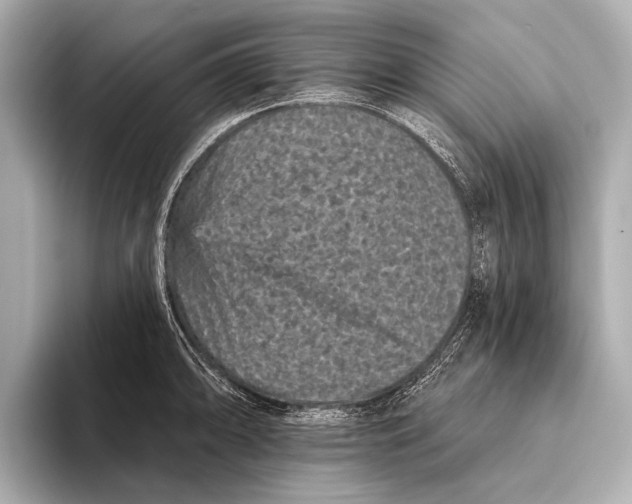X0000093481094200711020929