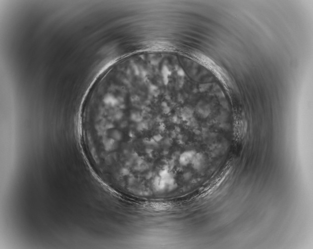 X0000093481095200711020929
