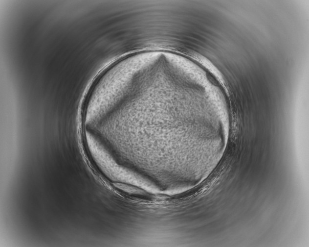 X0000093481096200711020929