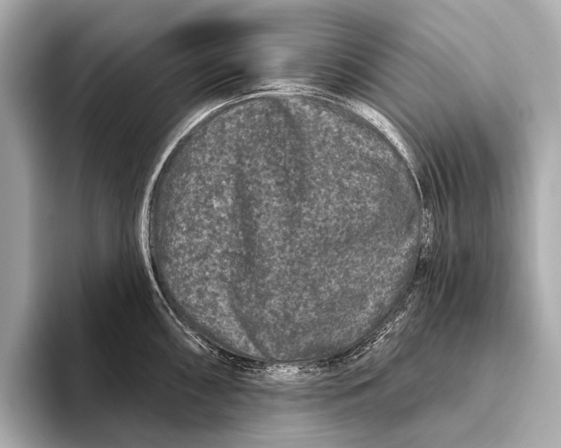 X0000093481098200711020929