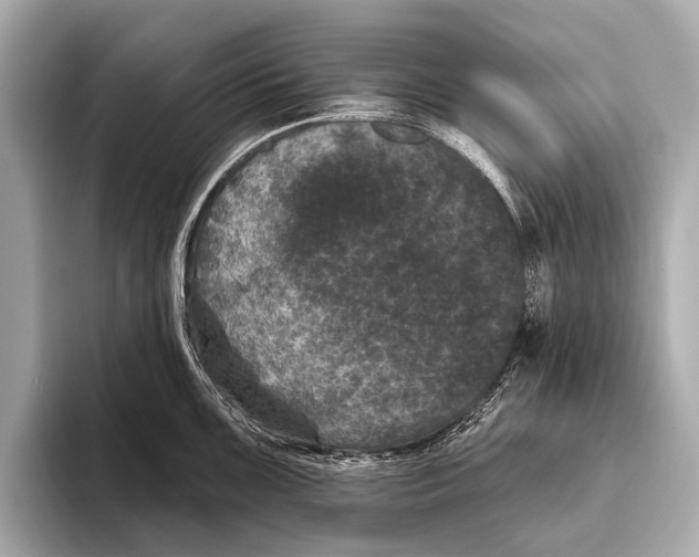X0000093481099200711020929