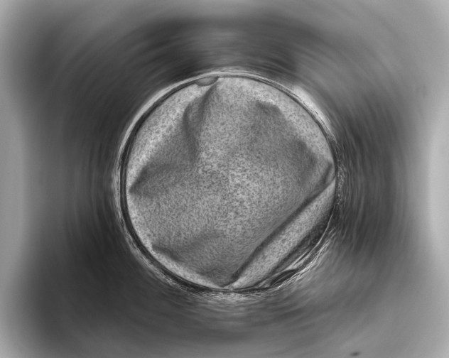 X0000093481100200711020929