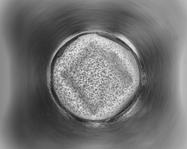 X0000093481101200711020929
