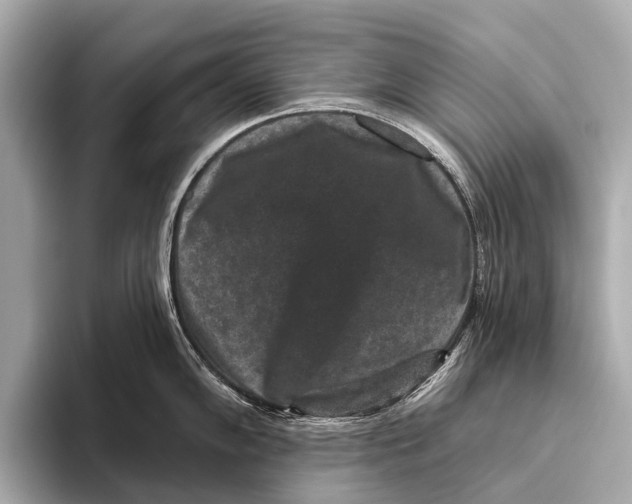 X0000093481102200711020929