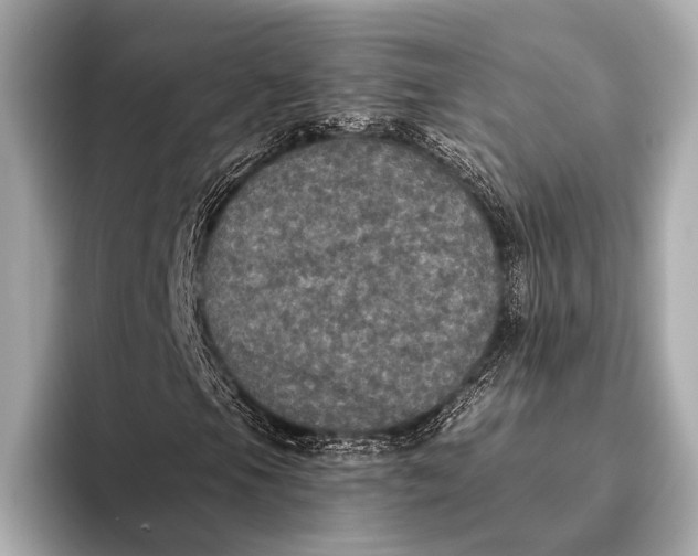 X0000093481105200711020928