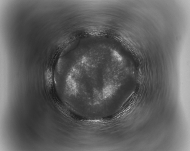 X0000093481106200711020928