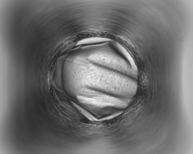 X0000093481110200711020928