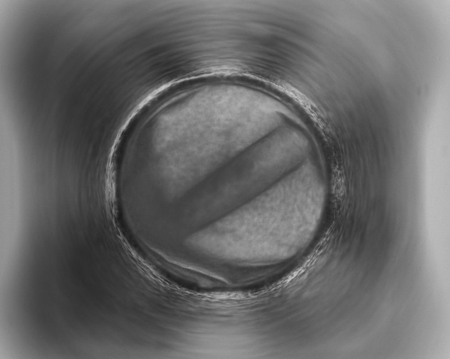 X0000093481118200711020928