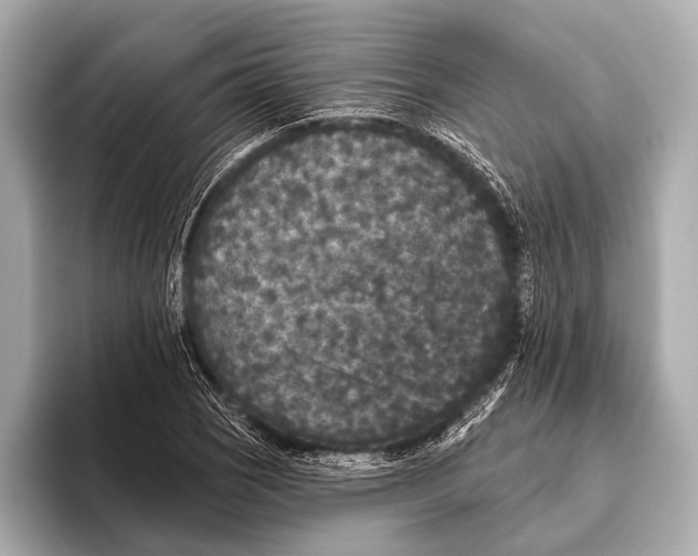 X0000093481121200711020928