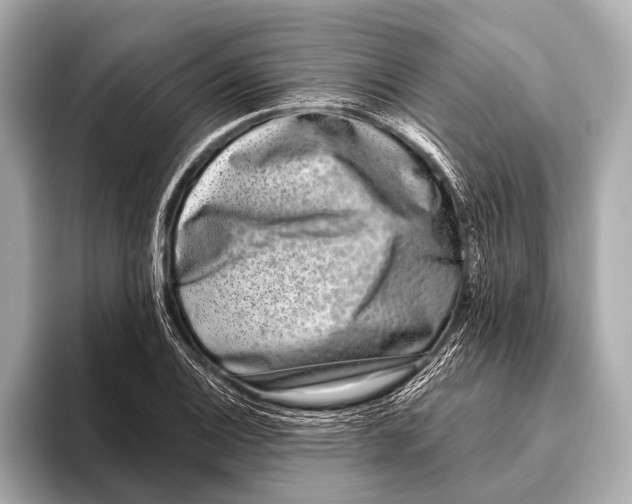 X0000093481124200711020928