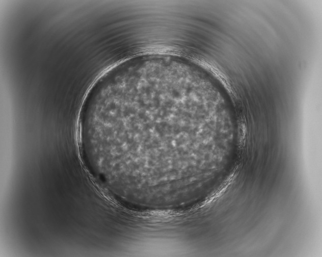 X0000093481125200711020928