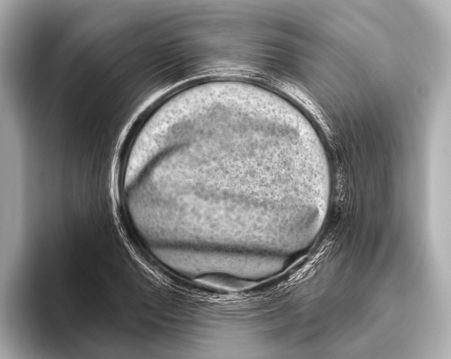 X0000093481128200711020928