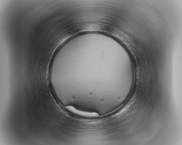 X0000093481129200711020928