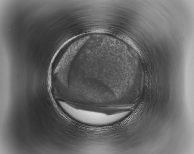 X0000093481132200711020928