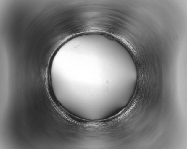 X0000093481134200711020928