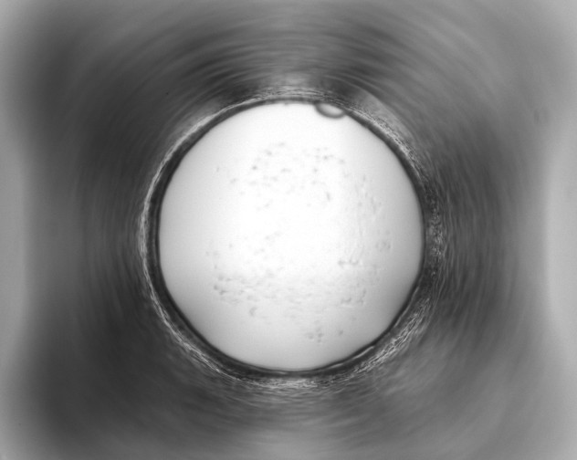 X0000093481135200711020928