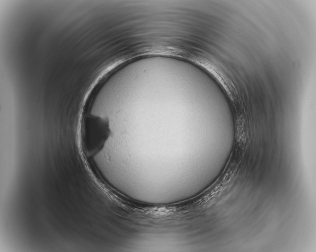 X0000093481139200711020928