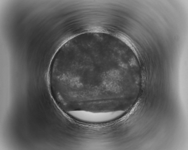 X0000093481141200711020928