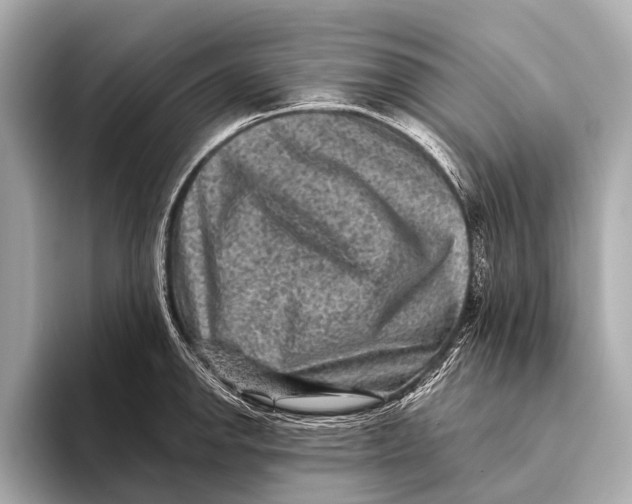 X0000093481142200711020928