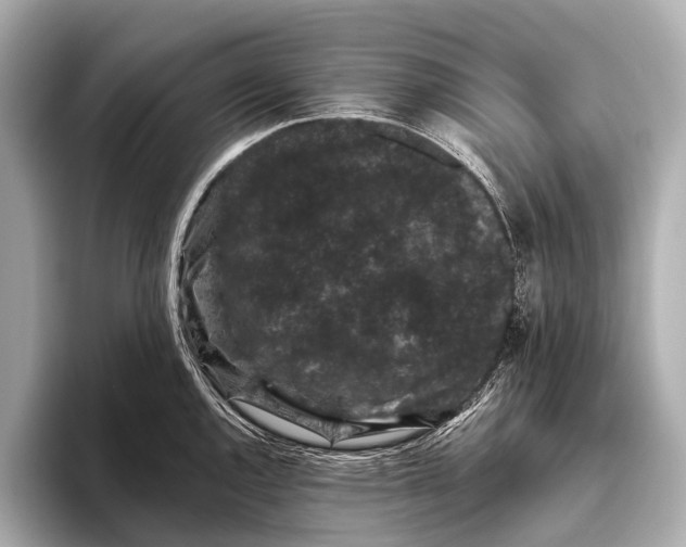 X0000093481144200711020928