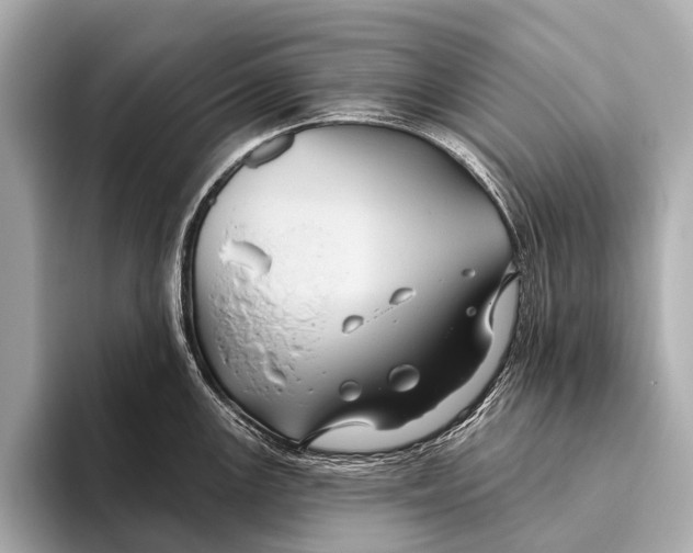X0000093481147200711020928