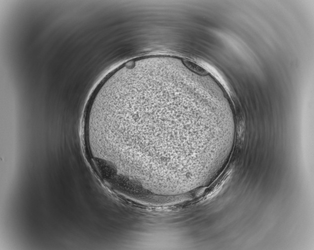 X0000093481149200711020928