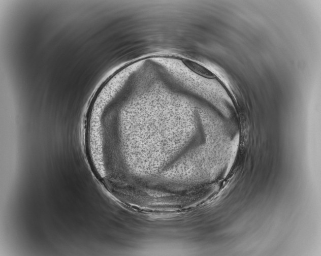 X0000093481151200711020929