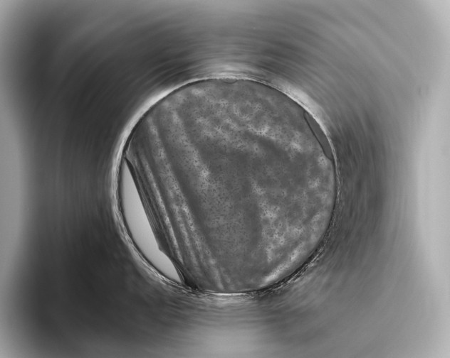 X0000093481152200711020929