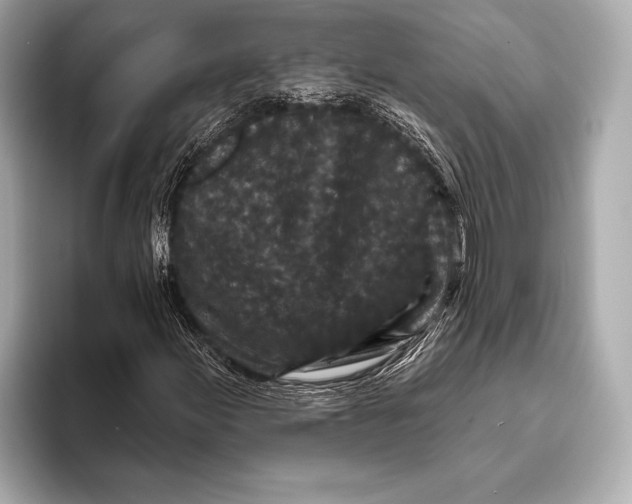 X0000093481155200711020928