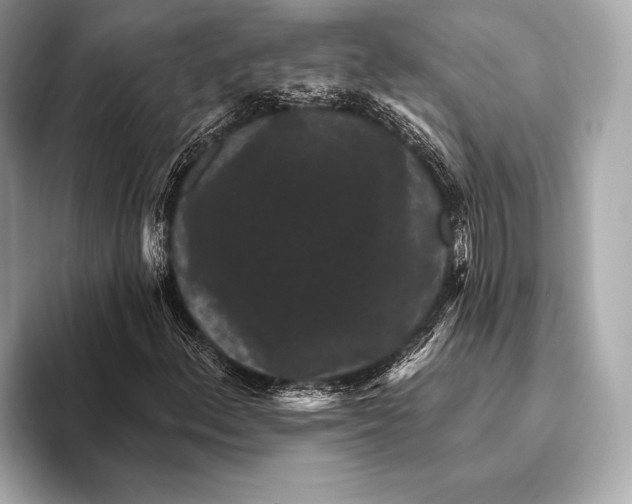 X0000093481156200711020928