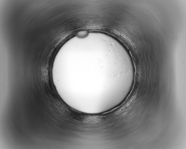X0000093481162200711020928