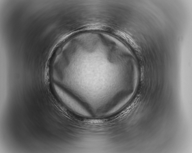 X0000093481164200711020928