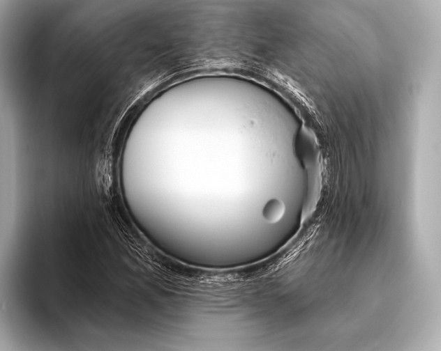 X0000093481165200711020928