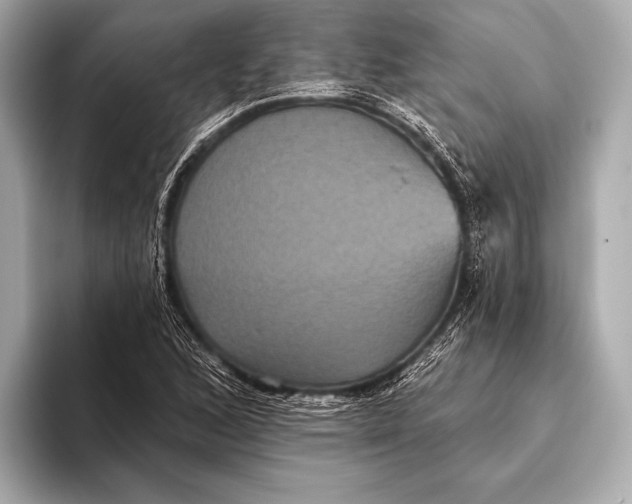 X0000093481168200711020928