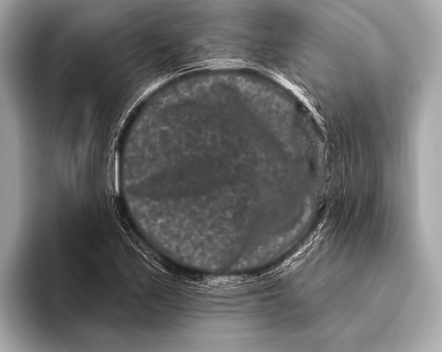 X0000093481171200711020928