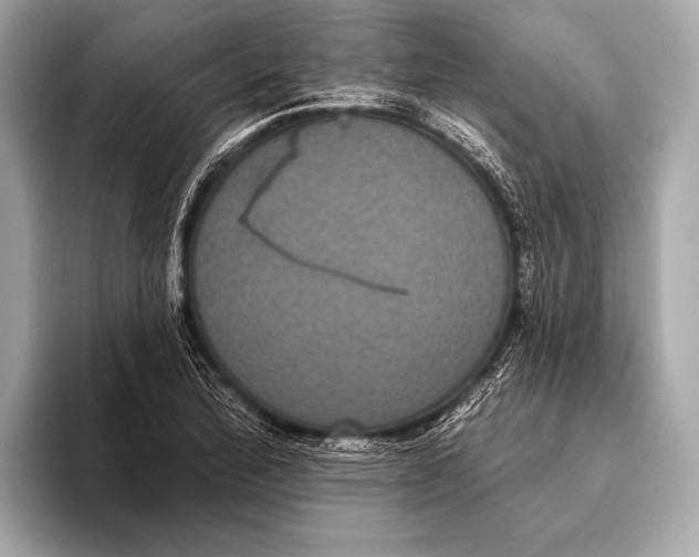 X0000093481172200711020928