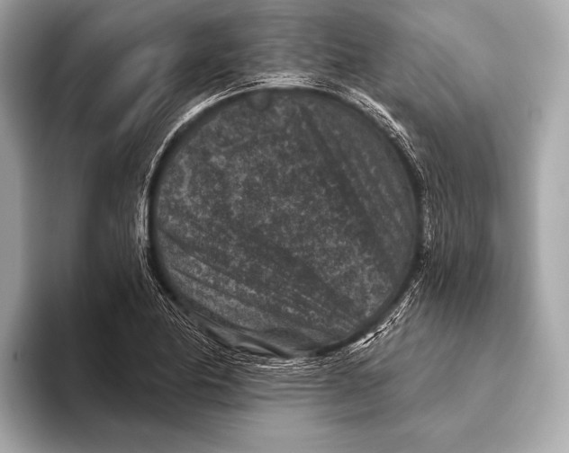 X0000093481174200711020928