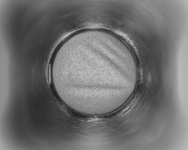 X0000093481175200711020928