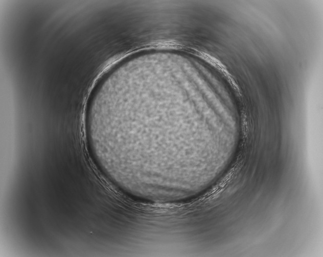 X0000093481176200711020928