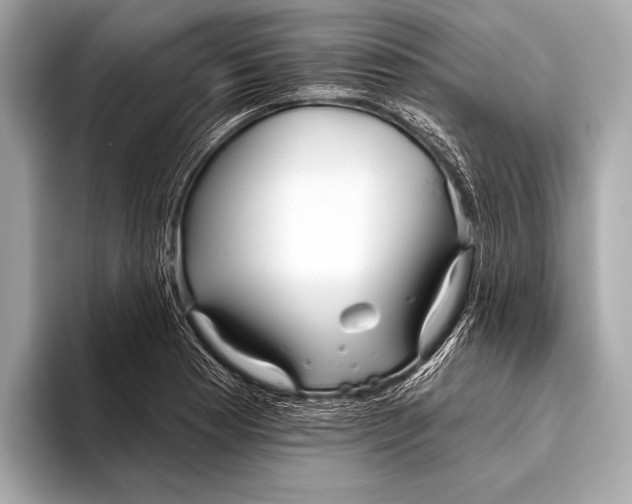 X0000093481177200711020928