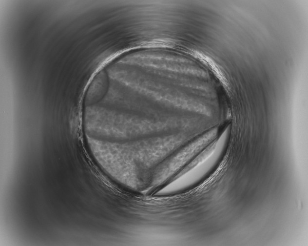 X0000093481184200711020928