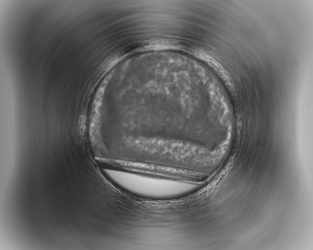 X0000093481185200711020928