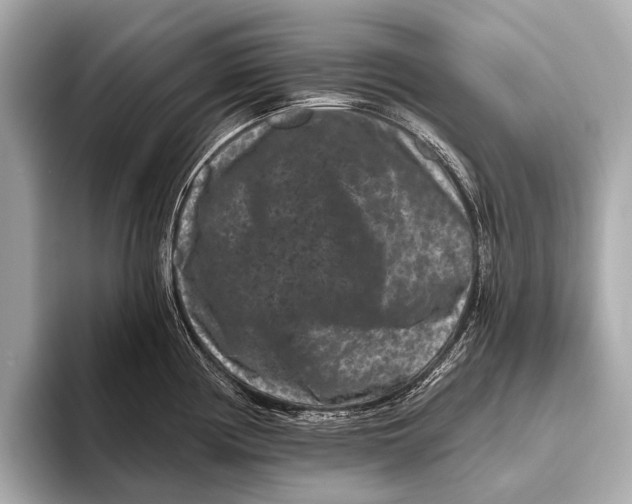 X0000093481194200711020927