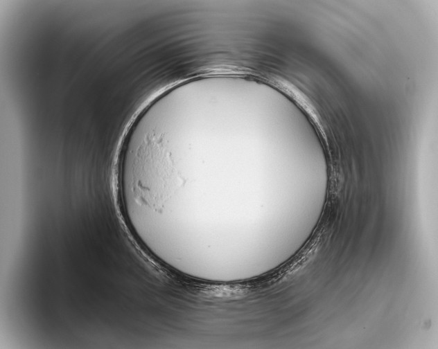 X0000093481195200711020927