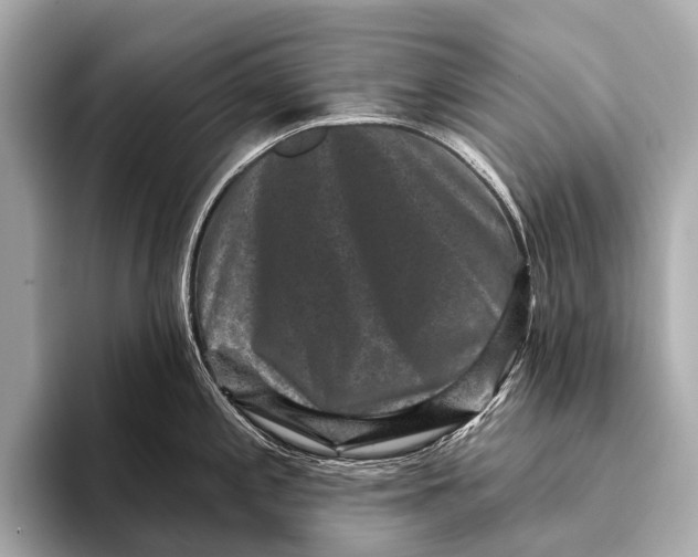 X0000093481197200711020927