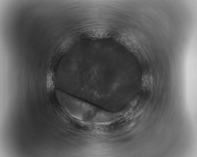X0000093481202200711020927